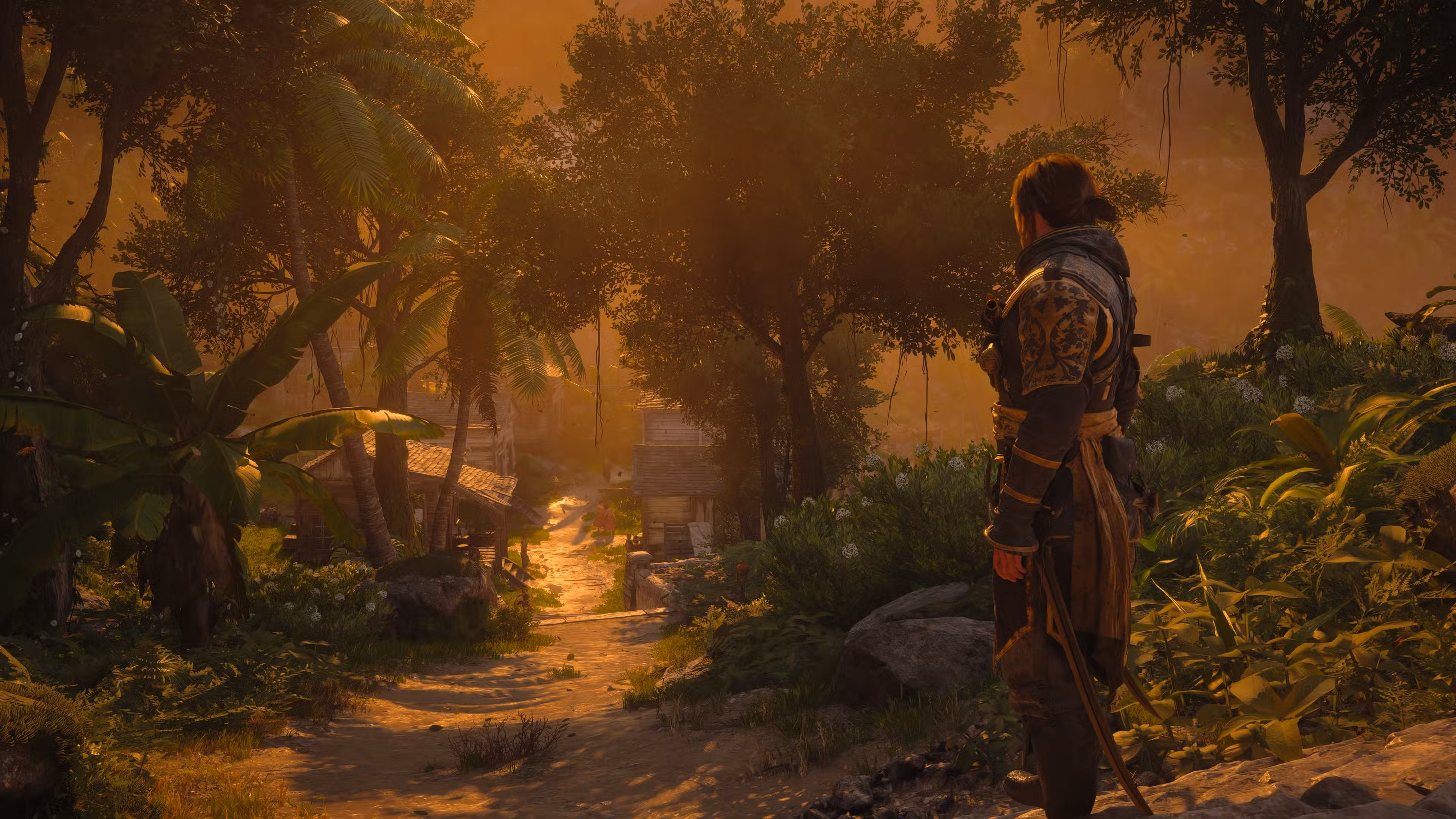 Assassin's Creed Black Flag Resynced