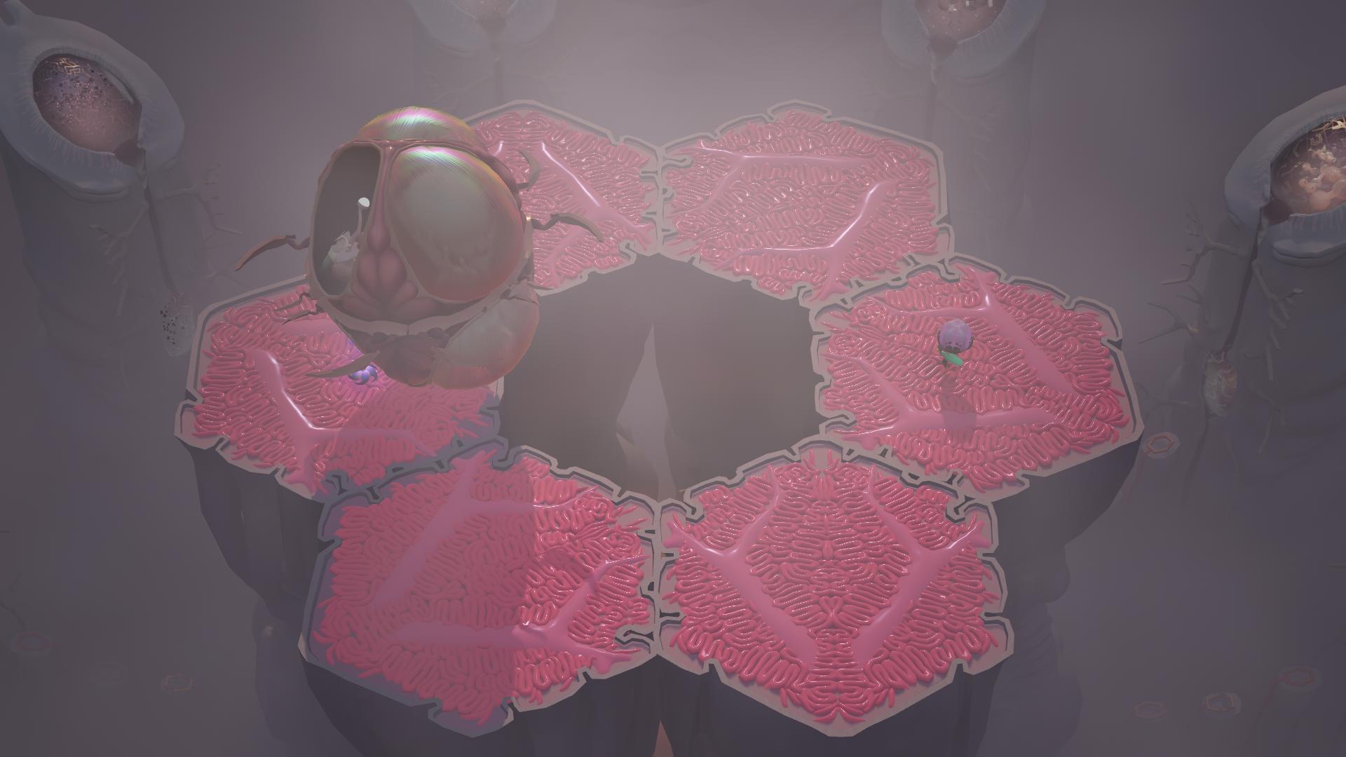 Cocoon