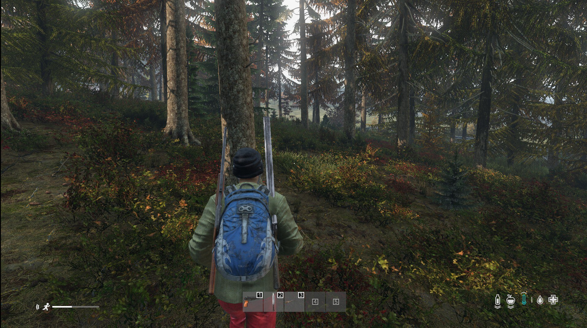 DayZ