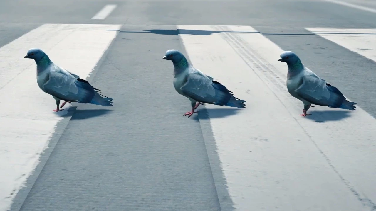  Pigeon Simulator