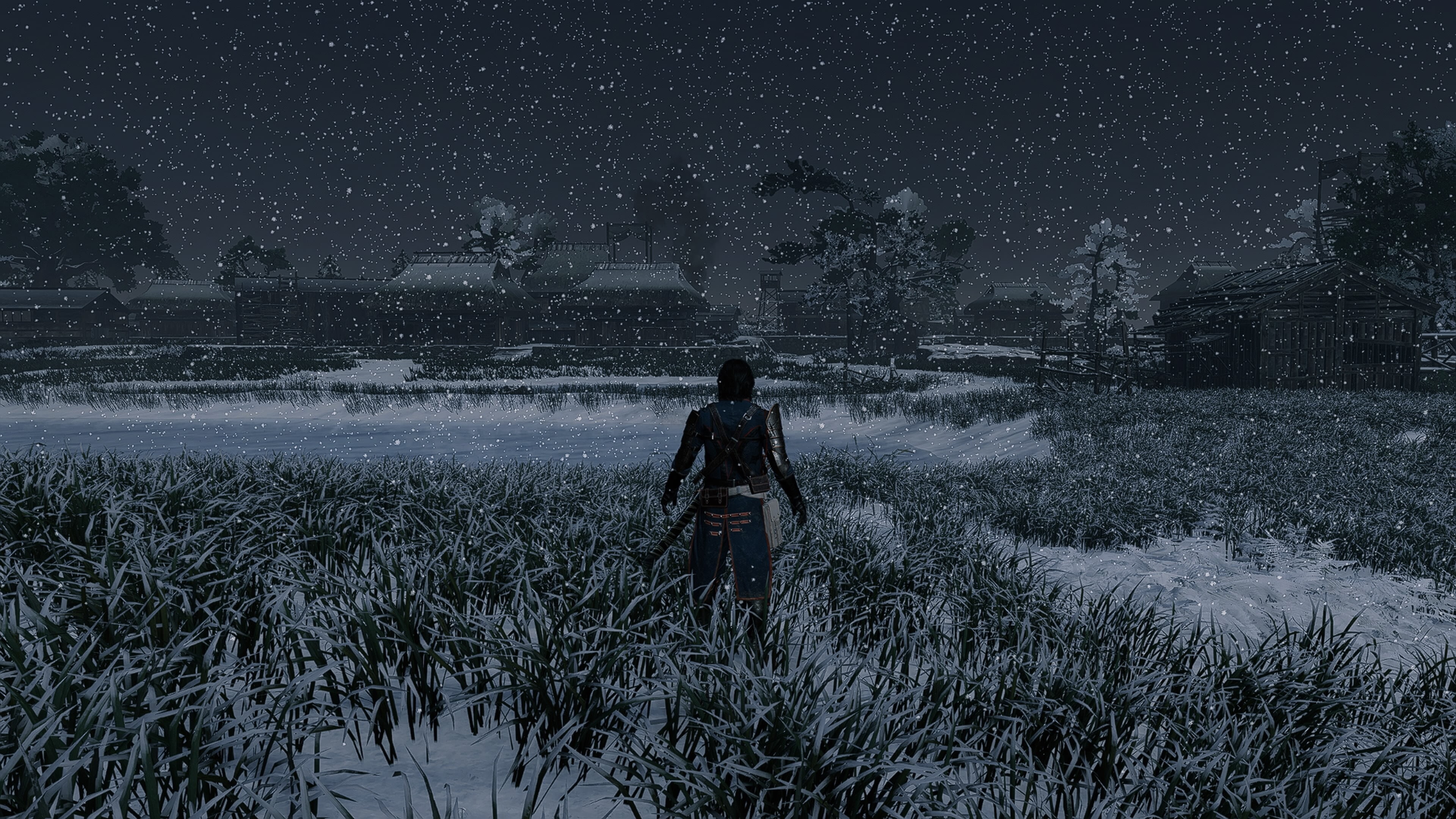 Rise of the Ronin