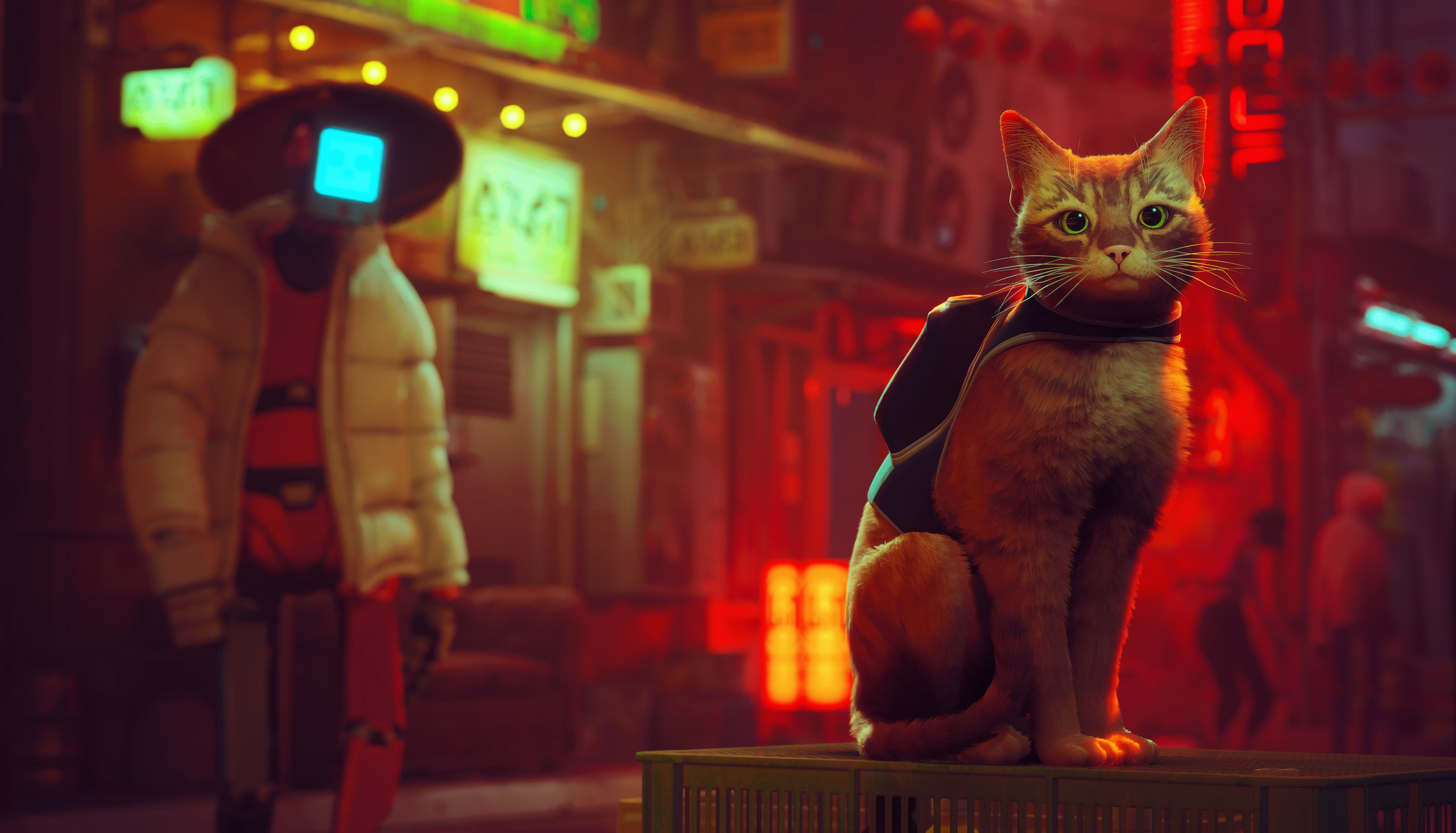 Stray