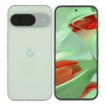 Google Pixel 9 256Gb Wintergreen, зелёный