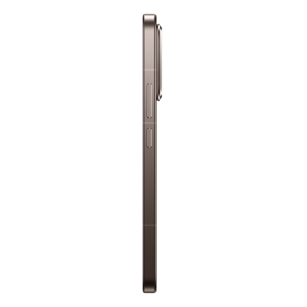 Xiaomi 15T Pro 12/512Gb Mocha Gold, коричневый