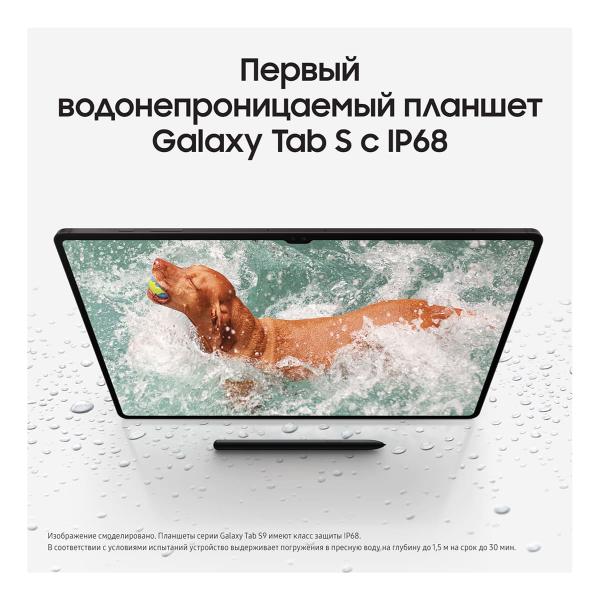Samsung Galaxy Tab S9 Ultra 14,6" 5G+Wi-Fi 12/256Gb Graphite, графит