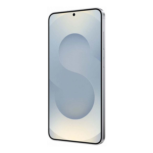 Samsung Galaxy S25+ 12/512Gb Silver Shadow, серый