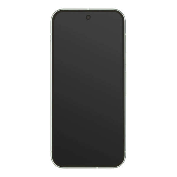 Google Pixel 9 256Gb Wintergreen, зелёный
