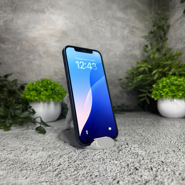 Trade in Apple iPhone 12 256Gb Blue IMEI: 8613