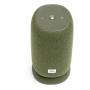 Портативная колонка с Алисой JBL Link Portable Green, зеленый