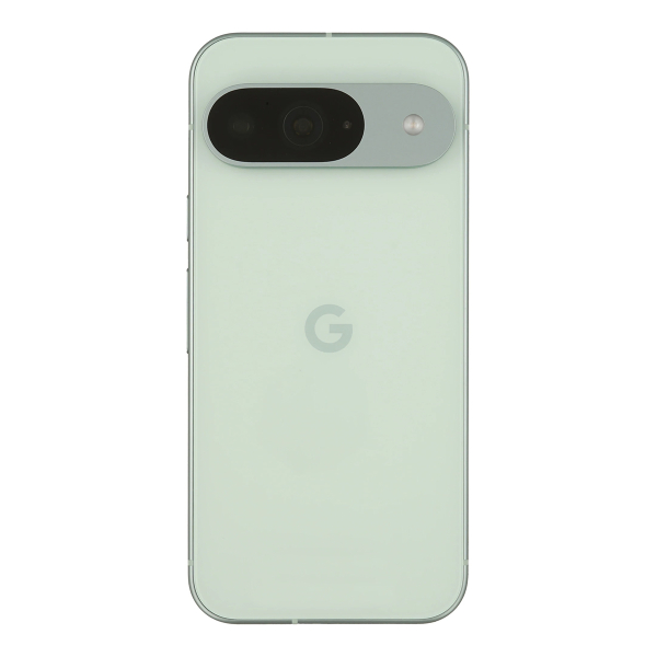 Google Pixel 9 128Gb Wintergreen, зелёный
